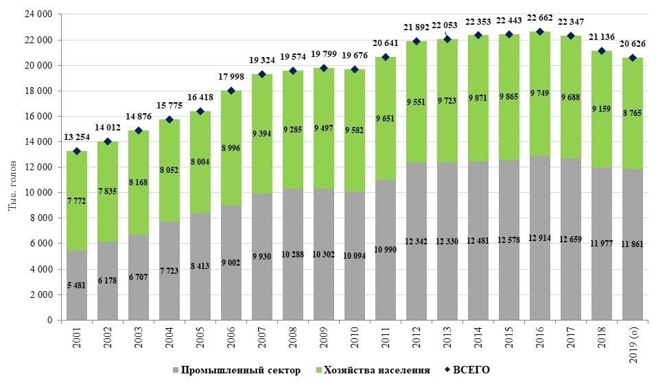 sheep breeding in russia
