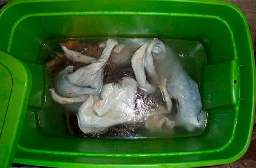 Haut in einem Becken