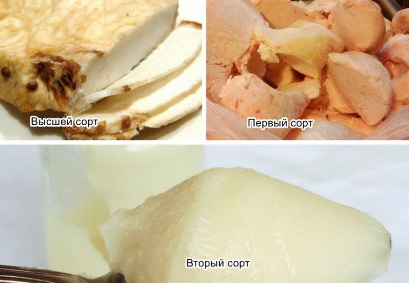 Was ist ein Hammelfettschwanz und wo befindet er sich? Wie sehen Nutzen und Schaden aus?