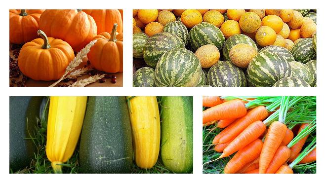 beaucoup de légumes