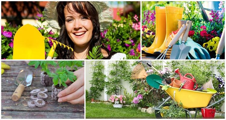 calendrier des semis lunaires pour 2021