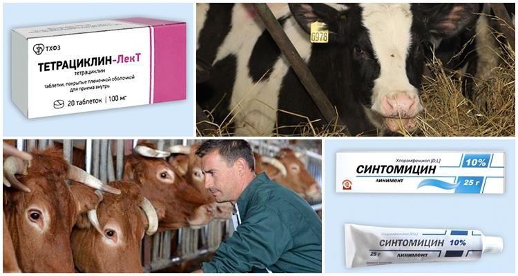 Médicament synthomycine