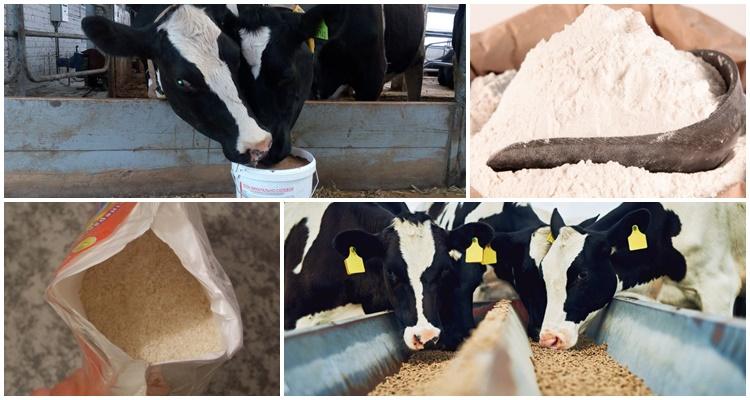 additifs alimentaires