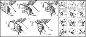 Wie man zum ersten Mal lernt, eine Kuh mit den Händen für Anfänger richtig zu melken