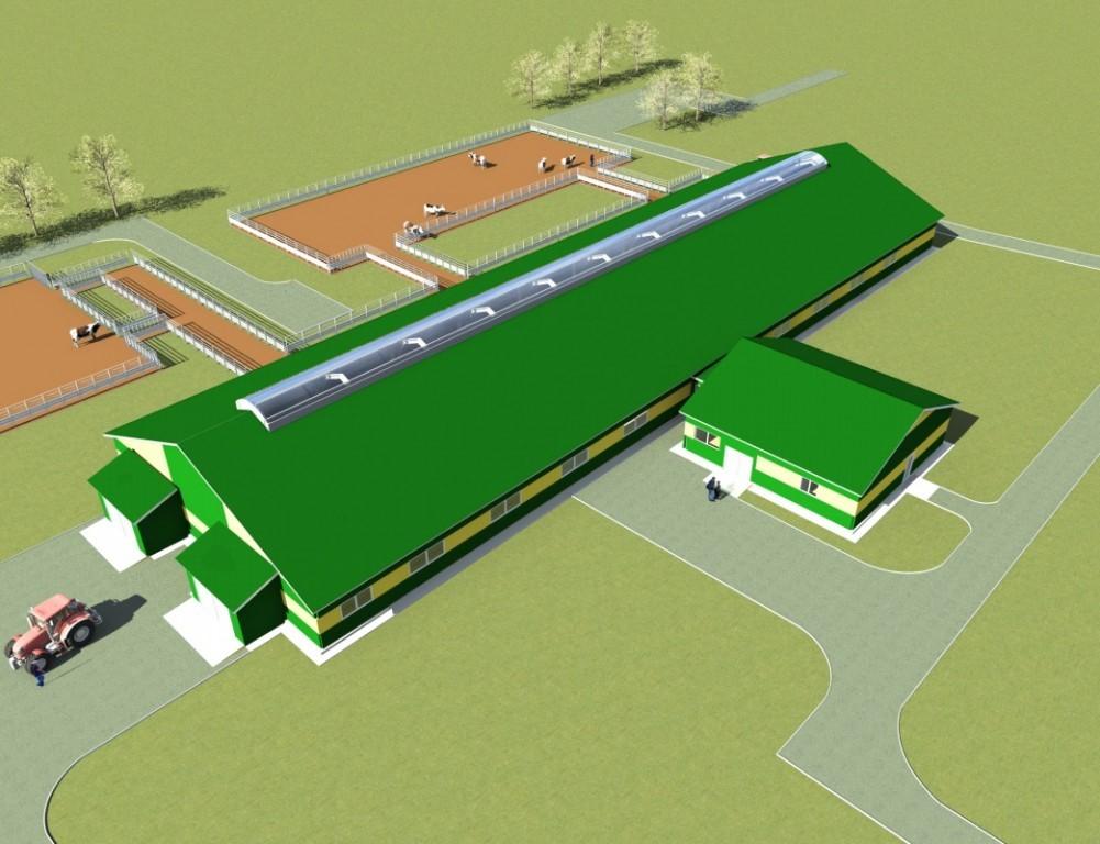 Kuhstall für 100 Köpfe