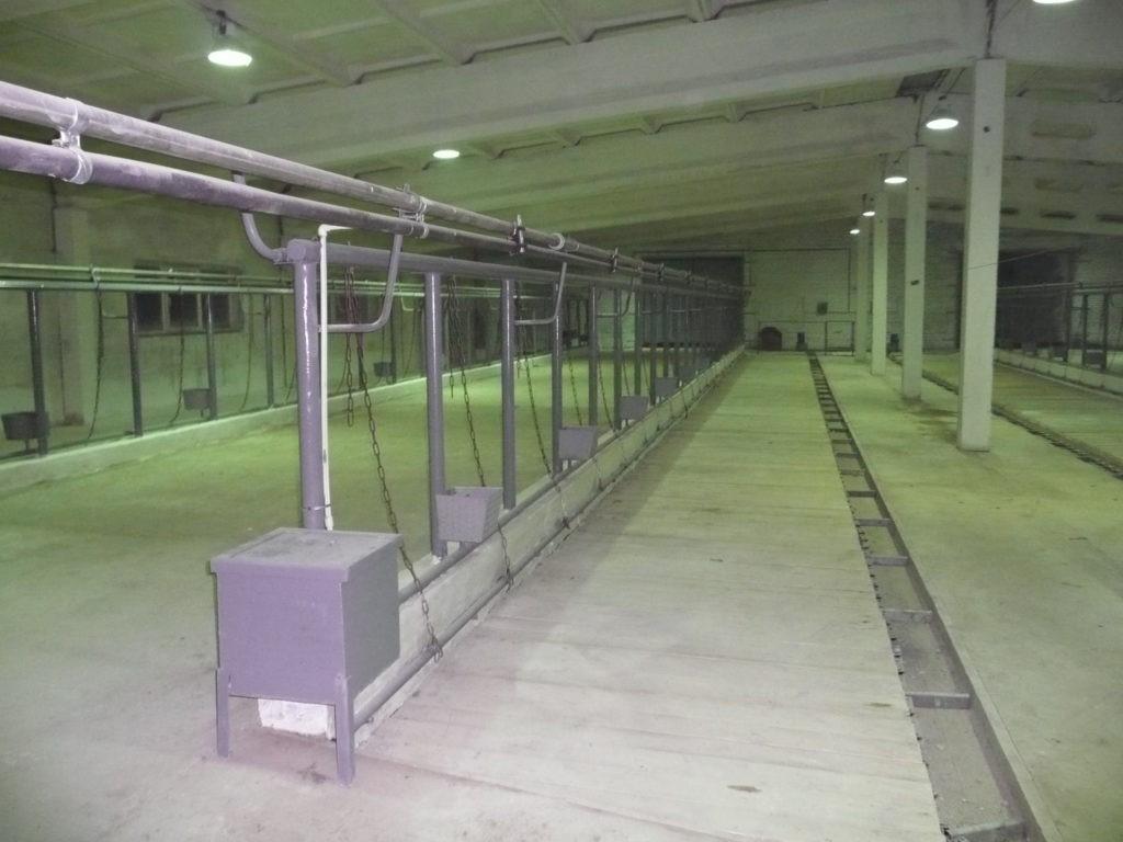 Scheune für 50 Köpfe