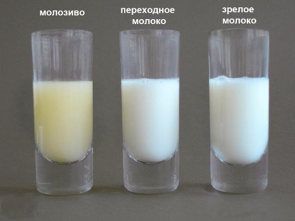 lait différent