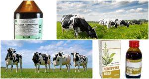 Mode d'emploi et doses de teinture d'hellébore pour bovins, analogues