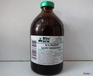 Anweisungen zur Verwendung von Calciumborgluconat bei Ziegen und Kontraindikationen