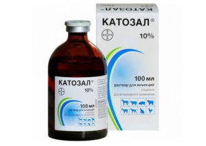 Top 6 Wachstumsstimulanzien für Rinder, welche Hormone und anabolen Steroide gegeben werden sollten