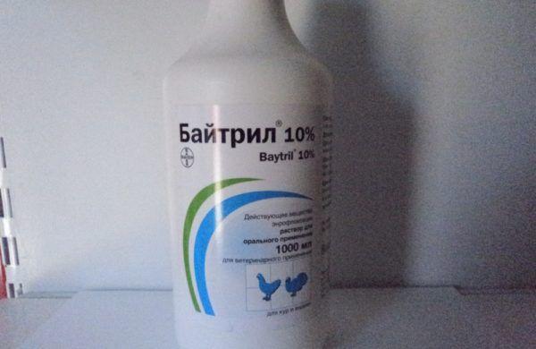 bytril für Entenküken