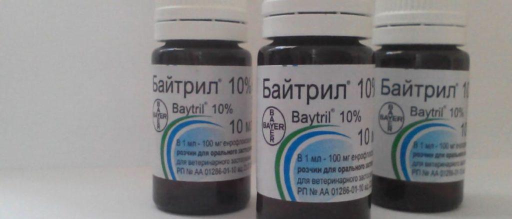 bytril für Entenküken